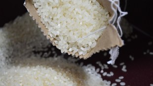 supply chain disruptions, rice, rice export prices, exports, food security, logistics, Red Sea crisis, shipping costs, Suez Canal, demand, packaging materials