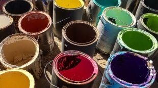Berger Paints, Berger Paints Q1 results, quarter earnings, profit, revenue, EBITDA, value growth, volume growth, paints industry