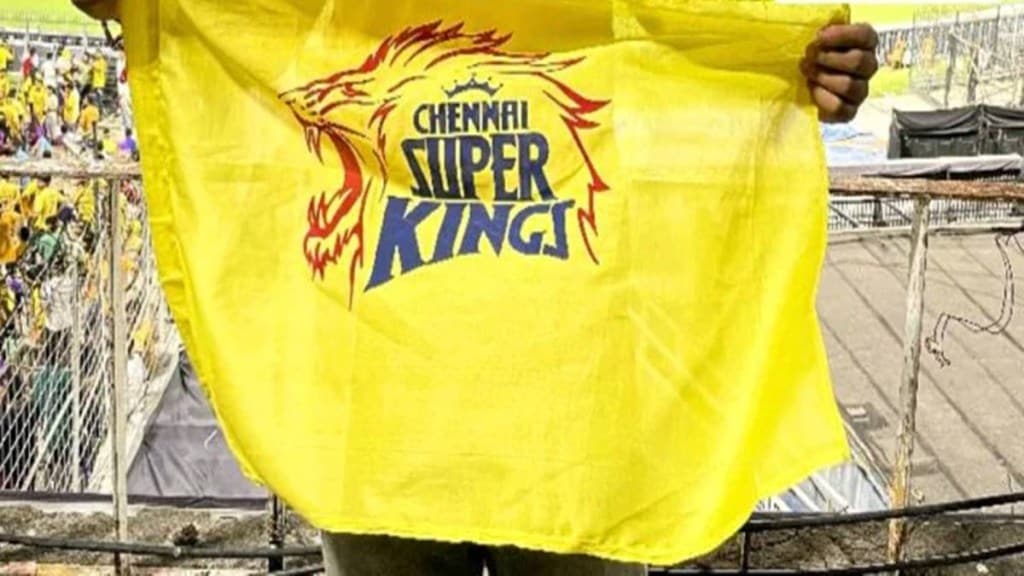 Chennai Super Kings ownership Chennai Super Kings ownership