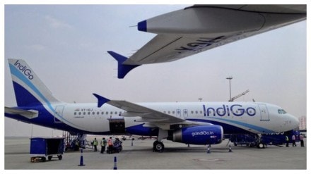 Indigo, Boeing 737 MAX, Indigo services