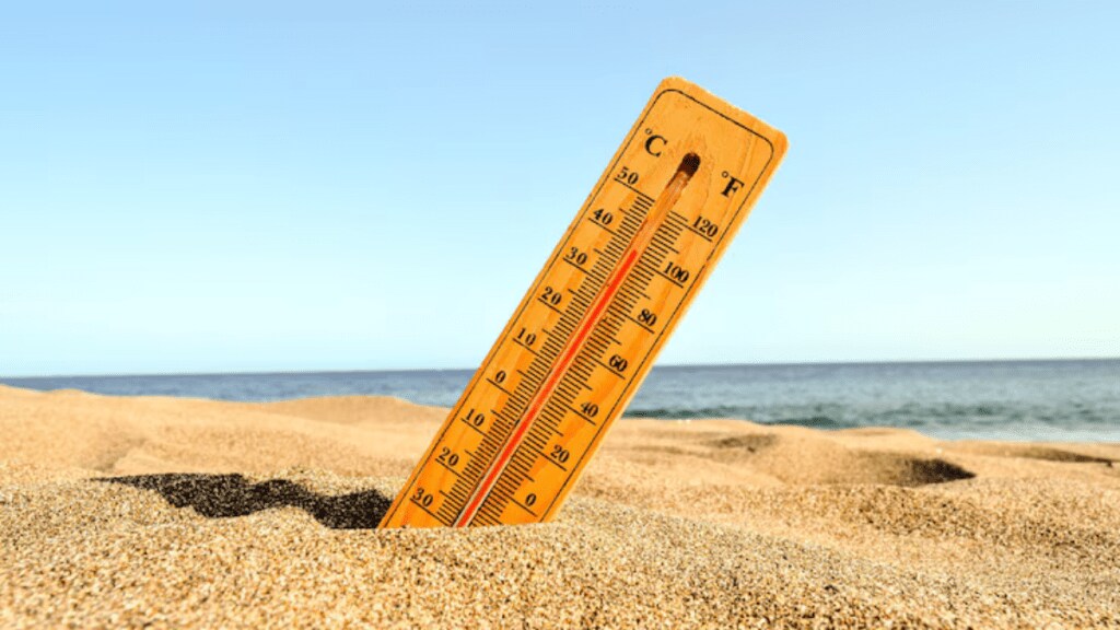 Widespread temperature records are anticipated to be tied or even broken during the heatwave (Photo: Freepik)