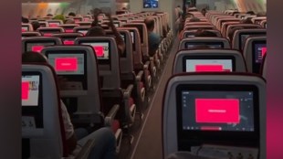 Air India flight celebrates India's T20 World Cup victory at 35,000 feet with tricolour lights - Watch viral video