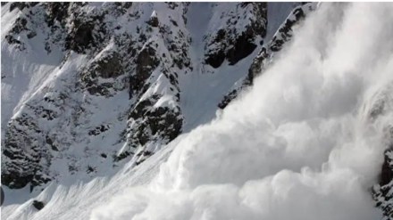 Unfortunately, one of these bravehearts has succumbed to his injuries. The other brave person is responding well to treatment and care and is presently stable.