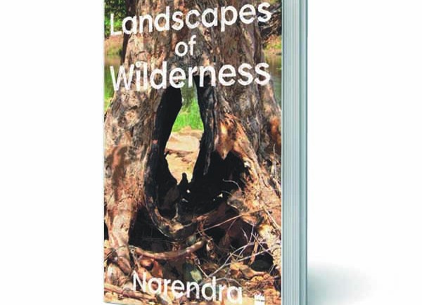 Landscapes of Wilderness cover