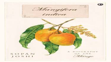 book, mango