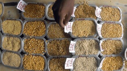 Pulses