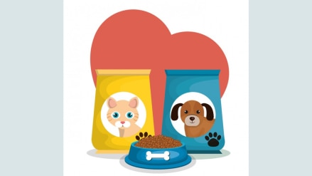 Experts opine that in India, the market for birds and other small pets is still in a nascent stage. Experts opine that in India, the market for birds and other small pets is still in a nascent stage.