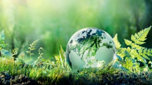 The government has announced encouraging private partnerships in setting up Bharat Small Nuclear Reactors (including R&D funding), promoting use of nuclear energy which accounts for approx 3% of electricity generation.