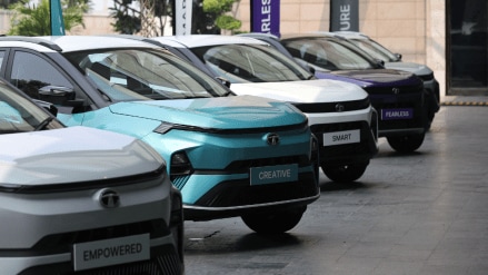 Tata Motor's stock price increased by 3.56% to reach 52-week high