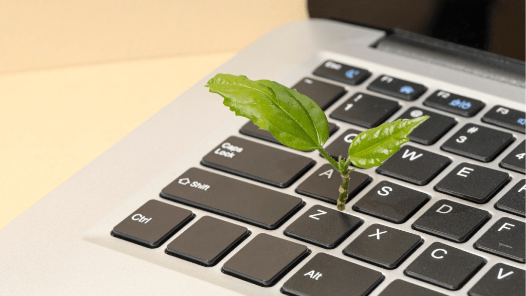 Another way of sustainable marketing is to opt for email service providers that utilise free hosting solutions with renewable energy sources. (Image Credits: Freepik) Another way of sustainable marketing is to opt for email service providers that utilise free hosting solutions with renewable energy sources. (Image Credits: Freepik)