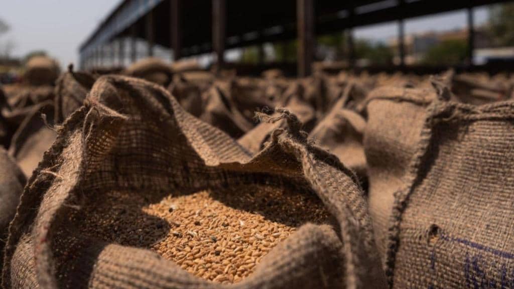 wheat crop, farming, food grain stock, msp, economy