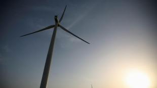 greenko, am green, sjvn, industry