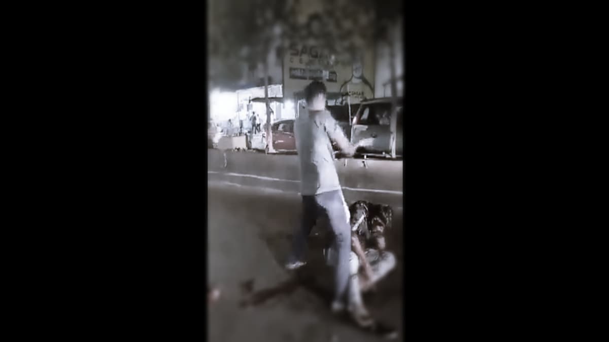 Andhra Pradesh: YSRCP member hacked to death on camera