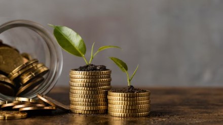 New Fund Offer: Bajaj Allianz Life launches Nifty Alpha 50 Index Fund – Should you invest? New Fund Offer: Bajaj Allianz Life launches Nifty Alpha 50 Index Fund – Should you invest?