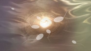 IVF, IVF Treatments, IVF treatment in India, Budget 2024, Budget 2024 news, IVF budget news, healthcare news, budget 2024 news,