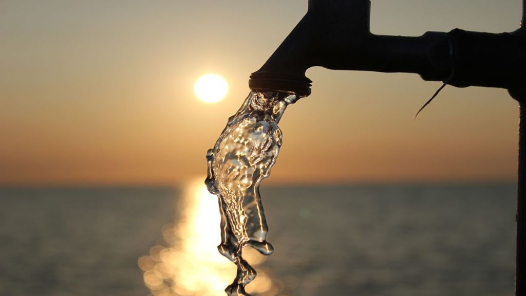 Cholera Disease, Cholera Symptoms, Cholera Virus, Cholera Causes, Cholera Vaccine, Cholera Cases in Kerala, Cholera Outbreak in Kerala, Cholera in Gujarat, Gurajat Cholera, Cholera Treatmemt Cholera Disease, Cholera Symptoms, Cholera Virus, Cholera Causes, Cholera Vaccine, Cholera Cases in Kerala, Cholera Outbreak in Kerala, Cholera in Gujarat, Gurajat Cholera, Cholera Treatmemt