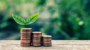 How MSMEs can transition towards more sustainable business models