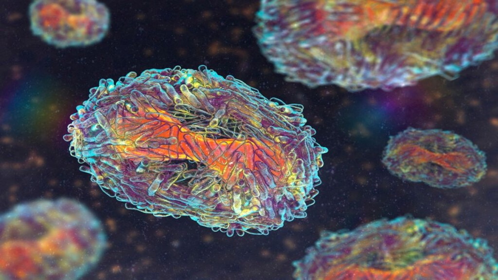 Mpox in India: Mpox in India: