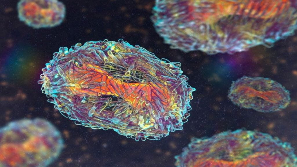 Mpox in India: