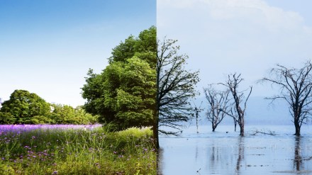 As brand custodians, chairs can shape the board agenda to align short-term goals with long-term sustainability vision.