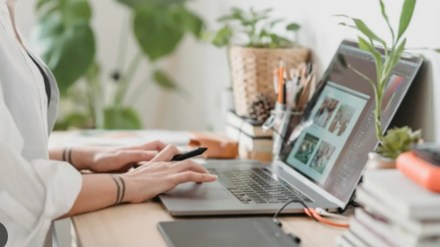 IN 2017, THE government announced that one vendor cannot sell more than 25% of total sales on a single market-place. IN 2017, THE government announced that one vendor cannot sell more than 25% of total sales on a single market-place.