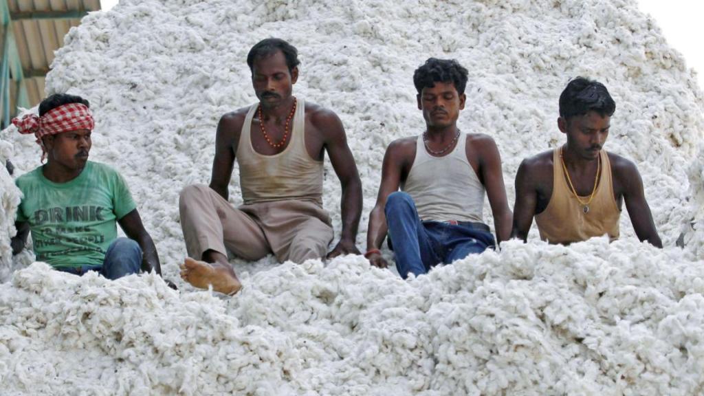 bangladesh crisis, bangladesh, cotton trade bangladesh crisis, bangladesh, cotton trade