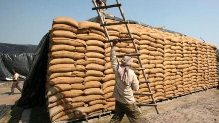 economy, fci, food subsidy, industry