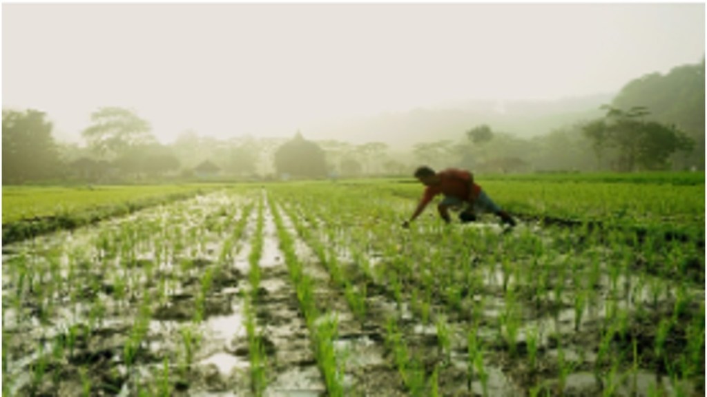 The upshot is that while the double-digit growth of farm credit is impressive, this achievement is clouded by widening regional imbalances. The upshot is that while the double-digit growth of farm credit is impressive, this achievement is clouded by widening regional imbalances.