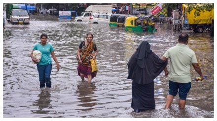 Weather, Google Trends, Weather, Google Trends,