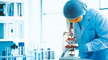Cord blood stem cells can be used in the treatment of certain blood disorders, immune deficiencies, and some metabolic diseases.