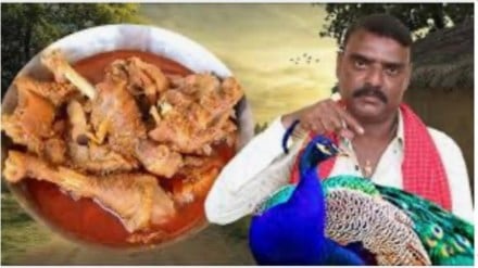Telangana: YouTuber's 'peacock curry' video sparks outrage, arrested under Wildlife Protection Act