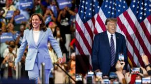 Harris presidency, financial markets, global investors, capital gains taxes, corporate taxes