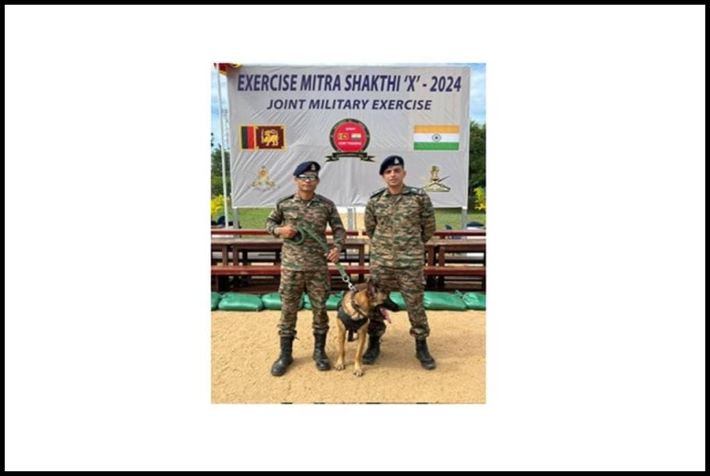 Meet K9 Zac