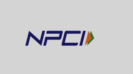 The NPCI chairman said financial crime and frauds not only threaten the stability of financial systems, but also have profound social impacts.