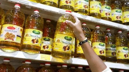 palm oil, refiners, profits, import tax, shipments, delivery