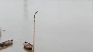 Maharashtra rain, crops damaged