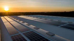 waree renewable, sustainability, industry