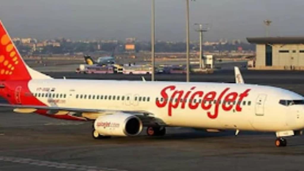 The airline needs a big dose of capital.