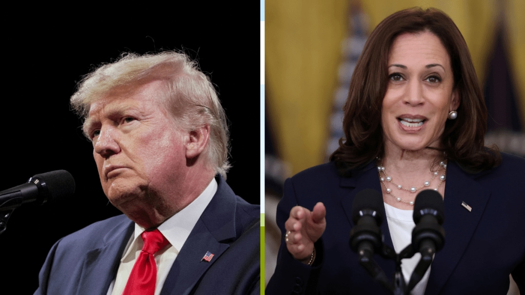 Donald Trump, US Presidential Elections, inflation, growth, commodity prices, supply chain, foreign policy, US economic growth, Kamala Harris, services exporters, FX reserves merchandise exports