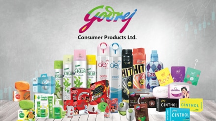 Godrej Consumer Products, Q3FY25, business update, volume growth, margin growth, international business, business revenue, price increase, media investment, weather conditions, demand, FMCG