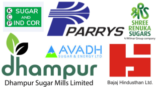 Sugar Stock Gain