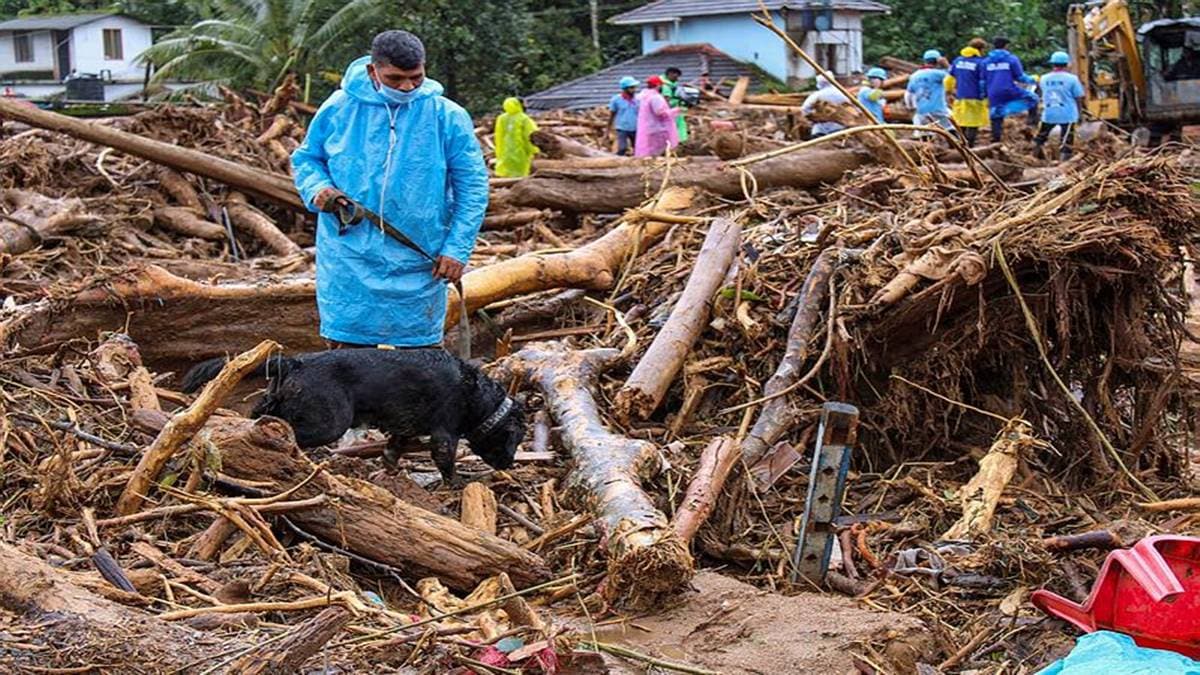 Wayanad Landslides