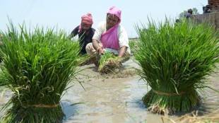 agri-infra fund