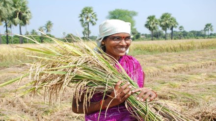 SOFI 2024 Report, Hunger, Hunger crisis SOFI 2024 Report, Hunger, Hunger crisis