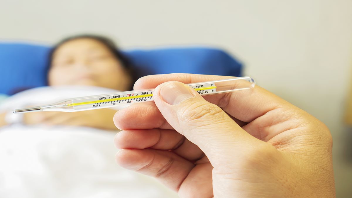Sloth fever, Sloth fever Virus, Sloth fever Outbreak, Sloth fever Symptoms, Sloth fever Causes, Sloth fever Preventions, Sloth fever in US, Sloth fever Florida, Sloth fever virus in NY, What is Sloth fever