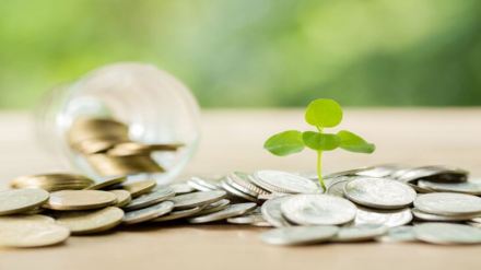 Investment Tips for Beginners: How to make the most of your investments