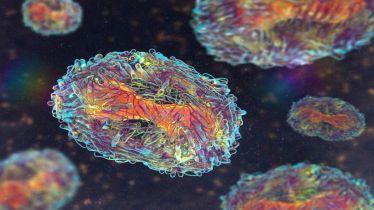 mpox, mpox in china, mpox symptoms, mpox treatment, mpox vaccines, health news, pharma news,