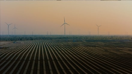 Adani Total Gas Share Price up 8% on receiving funding of $375 million: Adani Total Gas Share Price up 8% on receiving funding of $375 million: