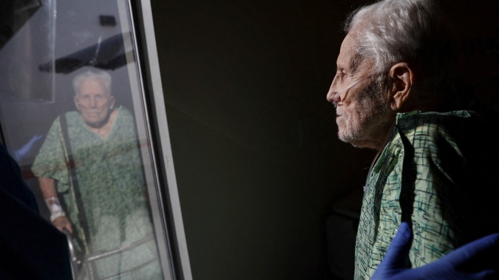 diabetes, diabetes medicine, diabetes drug monkeys, monkeys diabetes , male monkeys, diabetes drug ageing study