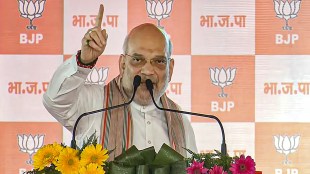 Home Minister Amit Shah addresses a public meeting ahead of Haryana Assembly elections, in Rewari, Haryana, Friday, Sept 27, 2024. (PTI Photo)